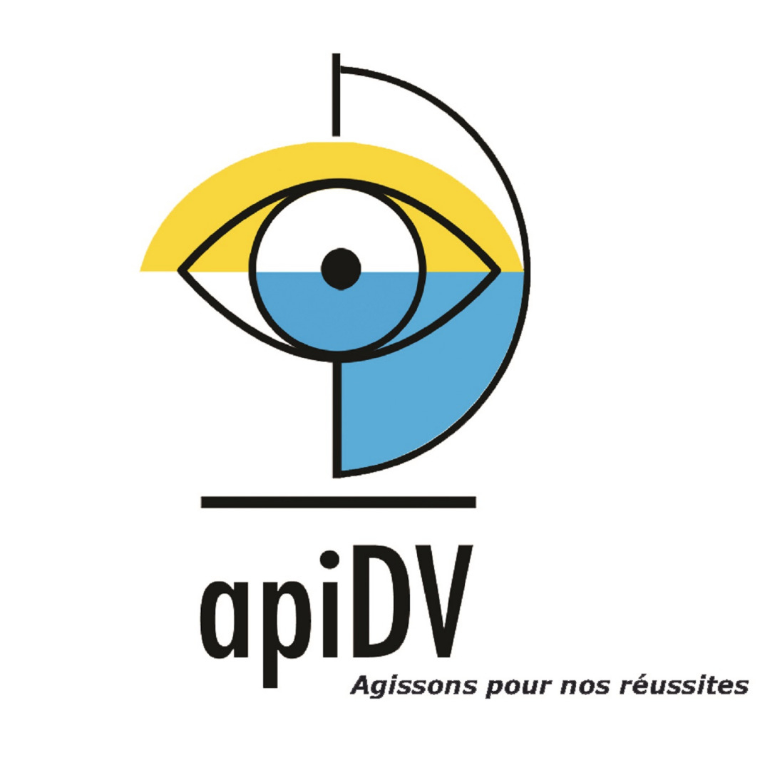 Chef de projet CampusDV pour une assocation en lien avec la déficience visuelle